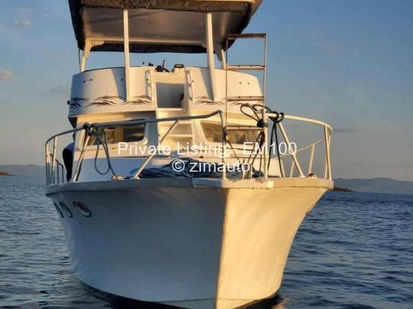 Dolphin Cabin Cruiser