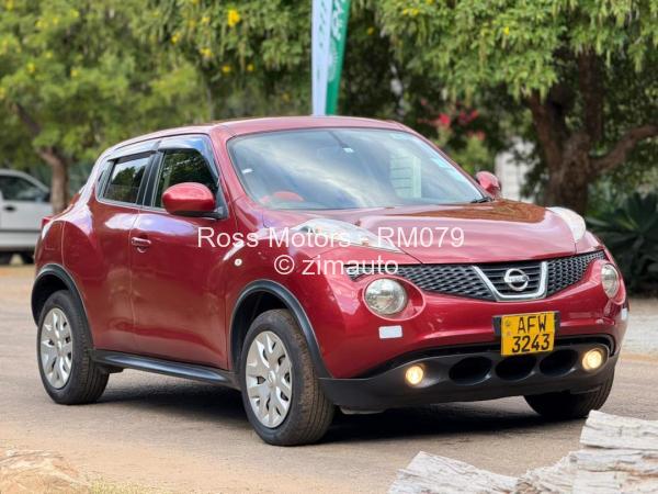 2013 Nissan  Juke