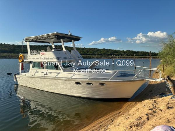 Dolphin Cabin Cruiser