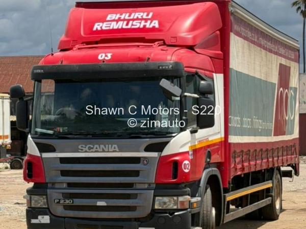2012 Scania P230