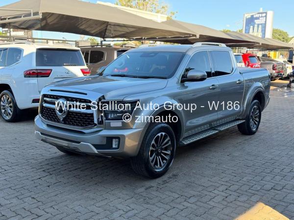 2025 GWM P Series