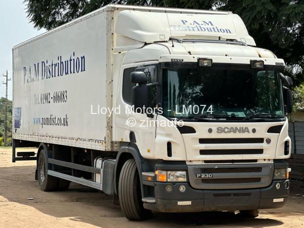 2010 Scania P230