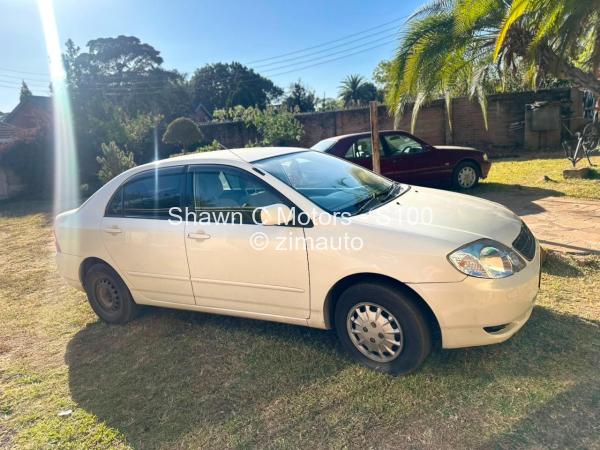 2010 Toyota  Corolla Bubble