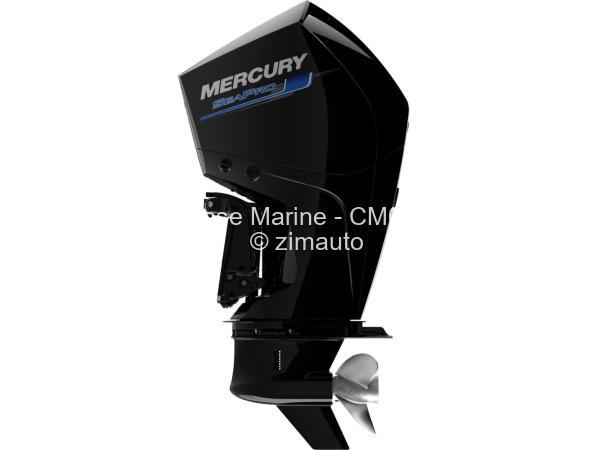 Mercury S250XL SeaPro 4.6L V8
