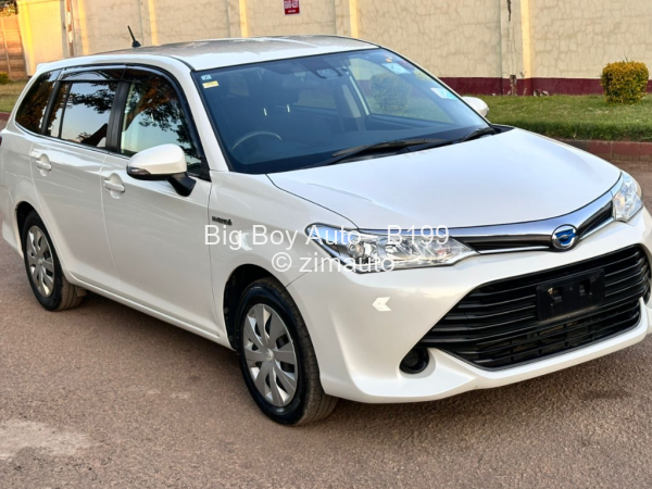 2017 Toyota  Fielder