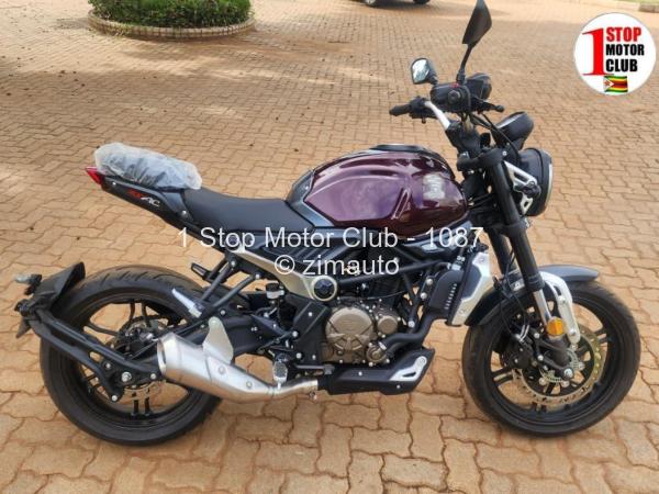 2025 Vogue Bike AC300